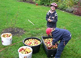 Kinder und Körbe mit Äpfeln